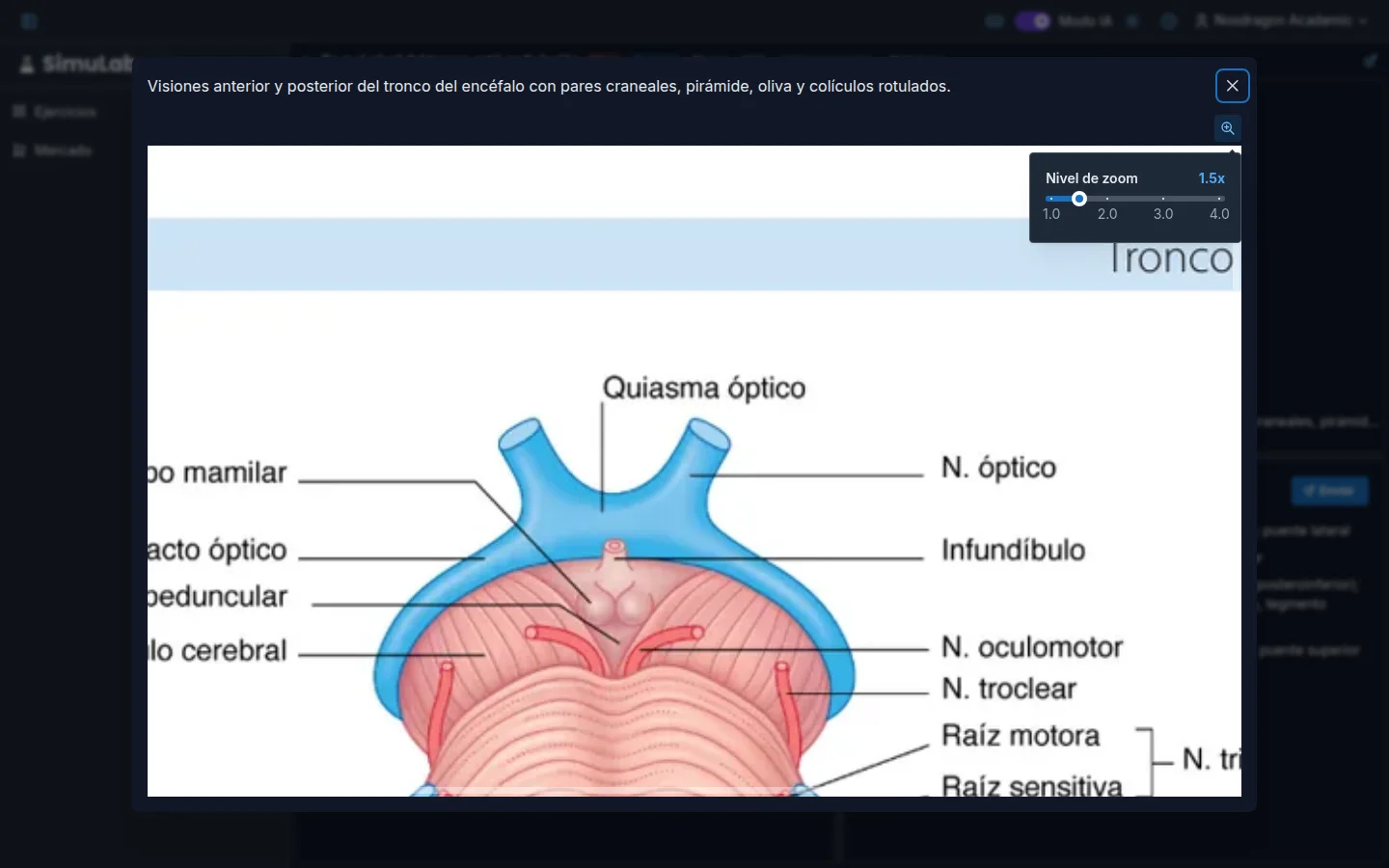 Lupa sobre una imagen de un ejercicio