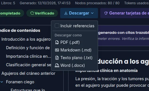 Exportar un resumen